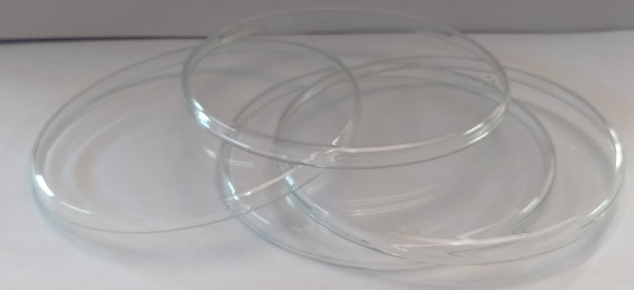 Repuesto tapa caja petri